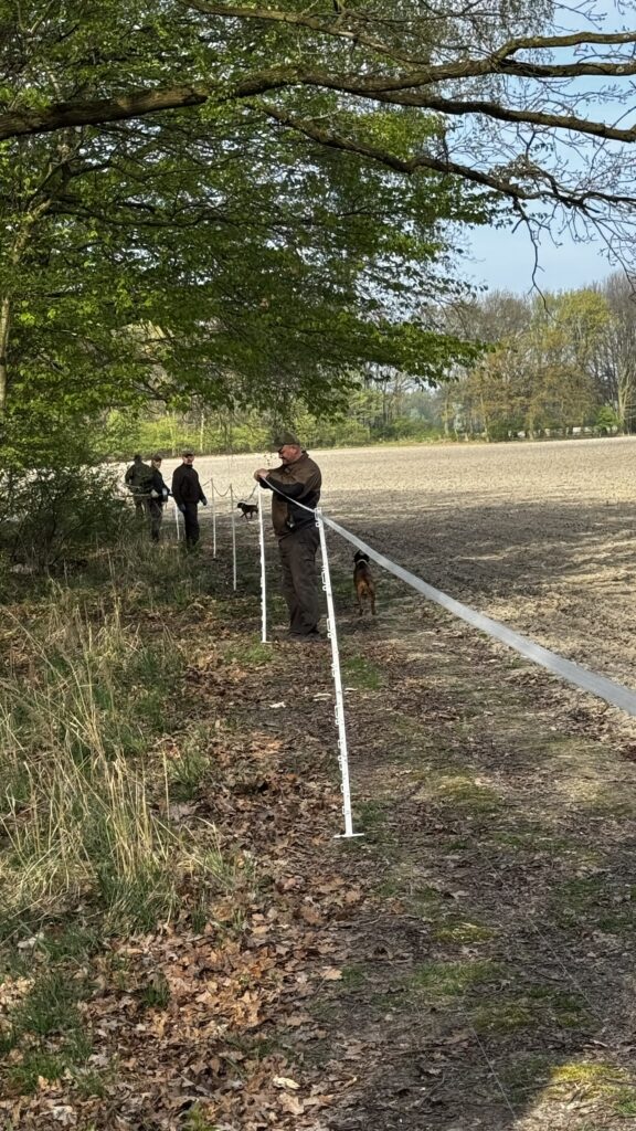 Ochrona zasiewów: Kwietniowe grodzenie upraw kukurydzy w Kleszczowie i Łanach Wielkich